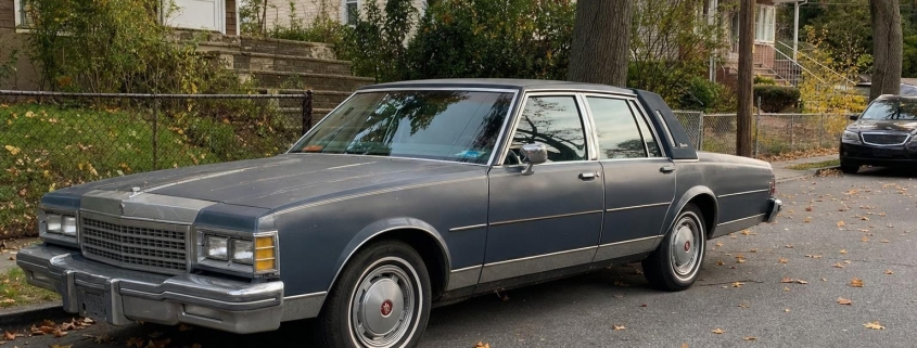 Antique sedan parked on a tree-lined Staten Island residential street